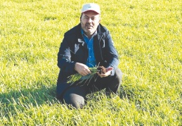 Yağış alamazsak hububat rekoltesi yüzde 80 düşebilir