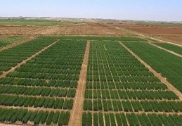 'Yağış azaldı, ekim nöbetinde değişiklik kaçınılmaz'