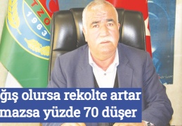 Yağış olursa rekolte artar, olmazsa yüzde 70 düşer