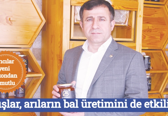Yağışlar, arıların bal üretimini de etkiliyor