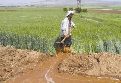 Yağışlar bitti, ekinler kuyu suyu ile sulanıyor