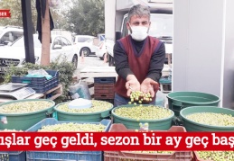 Yağışlar geç geldi, sezon bir ay geç başladı