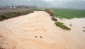 Yağışlar, tarım arazilerine zarar verdi.