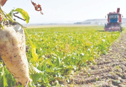 Yağma durmuyor: Çok sayıda ilde kamuya ait taşınmazın satışı onaylandı