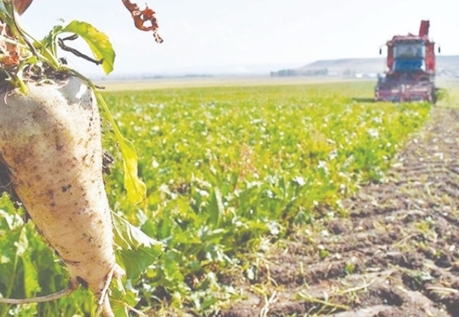 Yağma durmuyor: Çok sayıda ilde kamuya ait taşınmazın satışı onaylandı