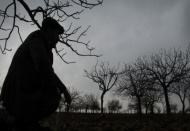 Yağmur üreticiyi mutlu etti 