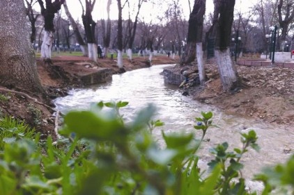 Yağmurlar Alleben&#8217;e de yaradı