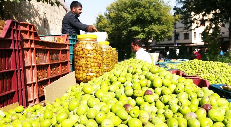 Yağmurun ardından tezgahlar zeytin doldu