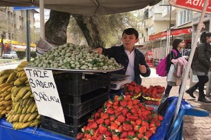 Yalancı baharın ardından Badem tezgaha erken düştü