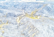 Yanan alanlardaki toprak, yağmurla erozyona dönüşecek