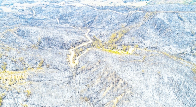 Yanan alanlardaki toprak, yağmurla erozyona dönüşecek