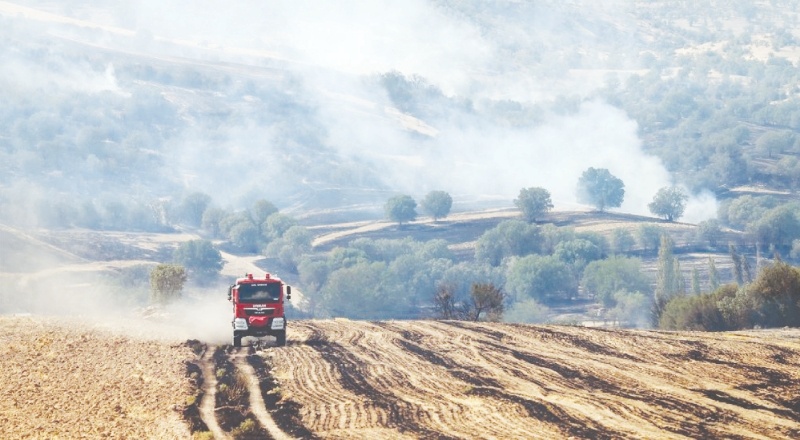 Yanan alanların büyüklüğü İstanbul'un yüzde 15'ine eşit