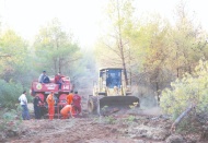 Yanan orman için 70 bin fidan desteği verilecek