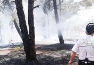 Yangın ağaçlara sıçramadan söndürüldü