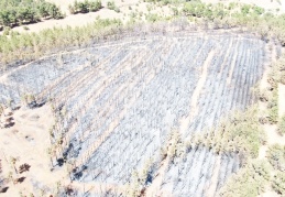 Yangının bıraktığı hasar havadan görüntülendi