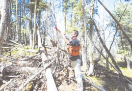 Yangınlar kafalarda soru işareti kalmayacak şekilde aydınlatılmalıdır