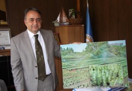 Yangınların yüzde 92'si insan kaynaklı