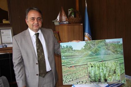 Yangınların yüzde 92&#039;si insan kaynaklı