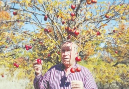 Yanlış tarım politikaları, çiftçiyi bitirdi