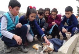 Yaralı köpeğe çocuklar sahip çıktı