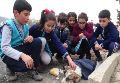 Yaralı köpeğe çocuklar sahip çıktı