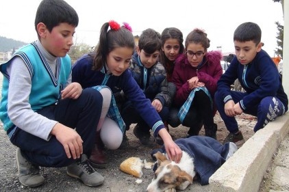 Yaralı köpeğe çocuklar sahip çıktı