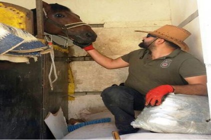 Yarış atı taşıyan araçtan uyuşturucu çıktı