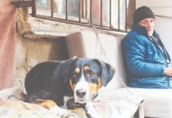 "Yaşlıların beşte biri yoksul, üçte biri iletişim teknolojilerine sahip değil"