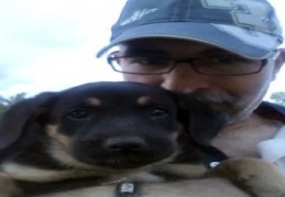 Yavru köpeğin yardımına hayvanseverler yetişti