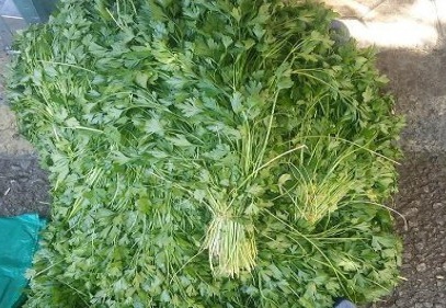Yavuzeli’nde yetişen ürünler, tezgahta yerini aldı