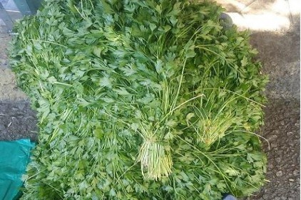 Yavuzeli&#8217;nde yetişen ürünler, tezgahta yerini aldı