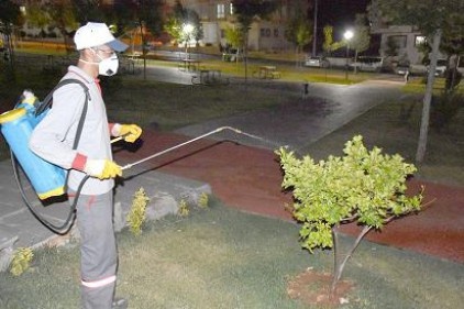Yaz aylarının kabusu sivrisinekler ilaçlanıyor