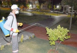 Yaz aylarının kabusu sivrisinekler ilaçlanıyor