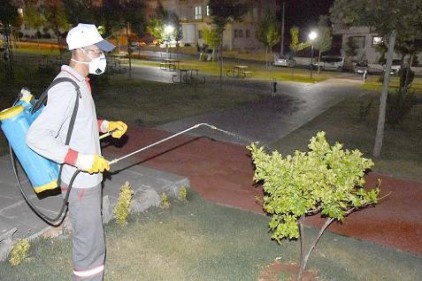 Yaz aylarının kabusu sivrisinekler ilaçlanıyor