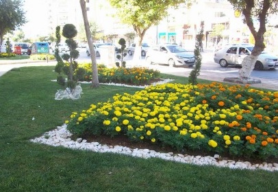 Yaz çiçekleri coştu