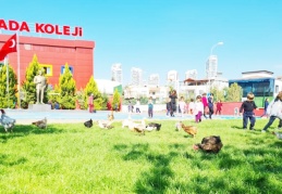 Yaz kampları başlıyor