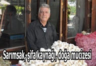Yaz spor okulları start aldı