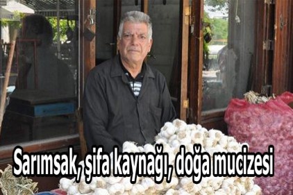 Yaz spor okulları start aldı