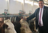 'Yem fiyatlarına bir yılda yüzde 65 zam geldi'