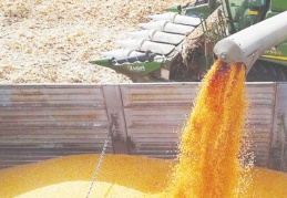 Toprak Mahsülleri Ofisi'nin yem ithalatı yetersiz bulundu