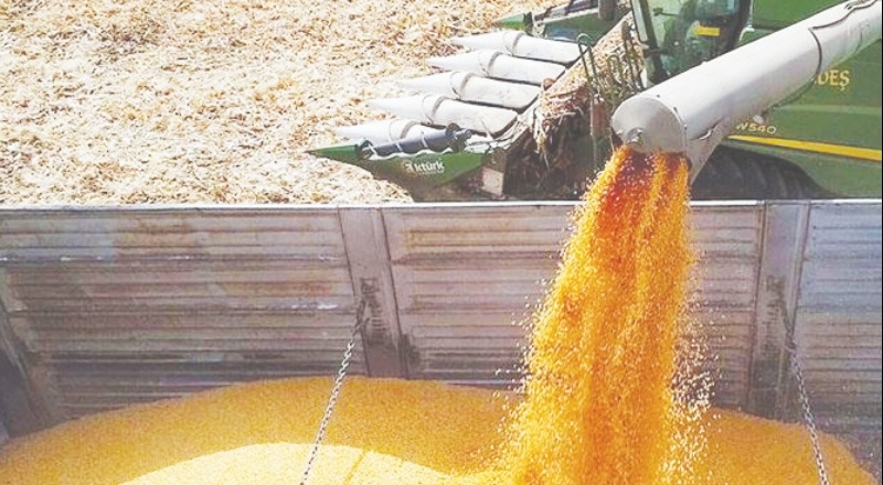 Toprak Mahsülleri Ofisi'nin yem ithalatı yetersiz bulundu