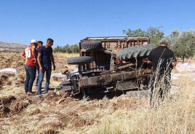 Yem yüklü traktör devrildi