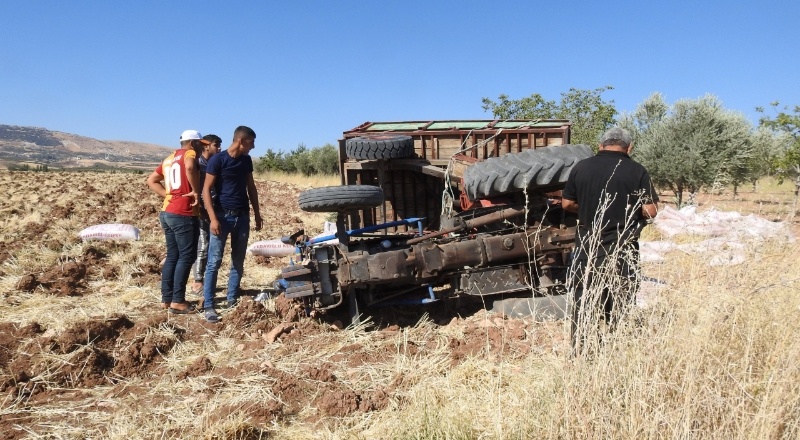 Yem yüklü traktör devrildi