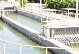 Yeni Hasankeyf’in atık suları arıtılmadan baraj gölüne dökülüyor