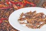 Yenilebilir böcekler yakında süpermarketlerde!