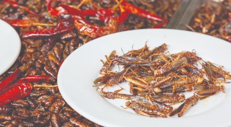 Yenilebilir böcekler yakında süpermarketlerde!