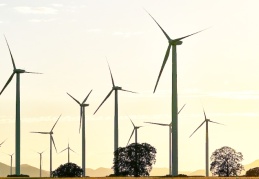 Yenilenebilir enerji için finansman ve yatırım taahhüdü
