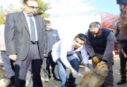 Yerel hayvan müfettişlerinin eğitimi başladı