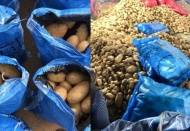 Yerli üreticiye yapılabilecek en büyük kötülük