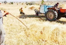 Yerli üreticiyi korumak yerine ithalata bağımlı hale gelmenin faturası ağır olacak